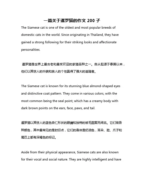 一篇关于暹罗猫的作文200子