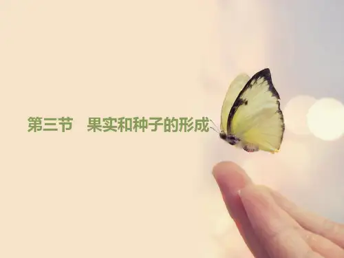 《果实和种子的形成》课件