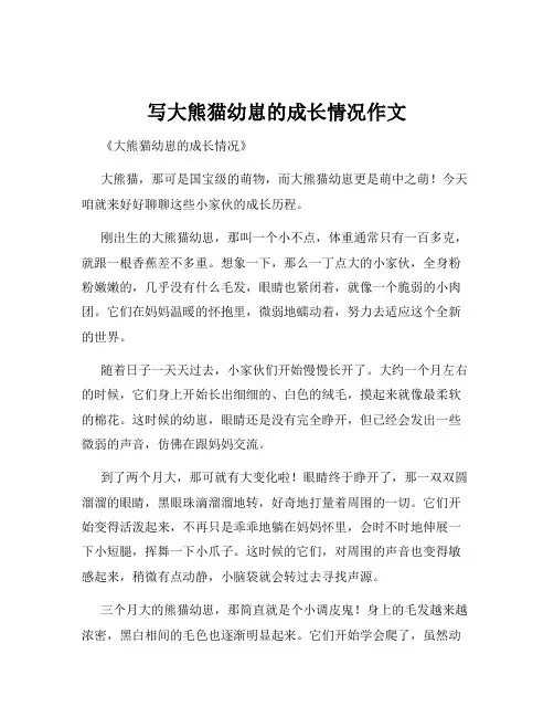 写大熊猫幼崽的成长情况作文