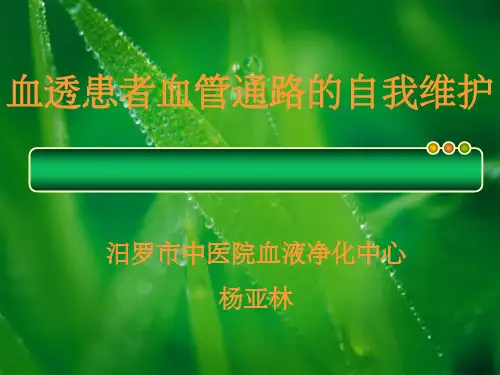 动静脉内瘘健康宣教ppt课件