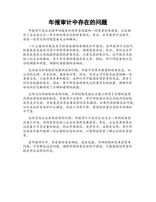 年报审计中存在的问题