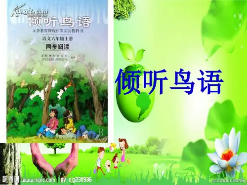 倾听鸟语