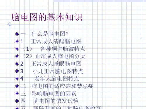 脑电图的基本知识-PPT文档资料