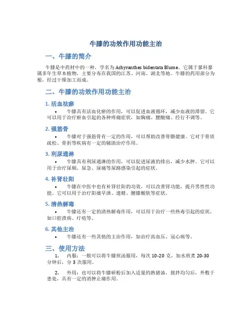 牛膝的功效作用功能主治