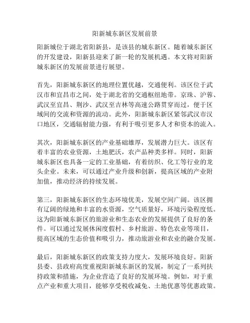 阳新城东新区发展前景