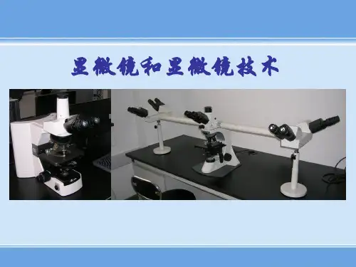 显微镜技术资料