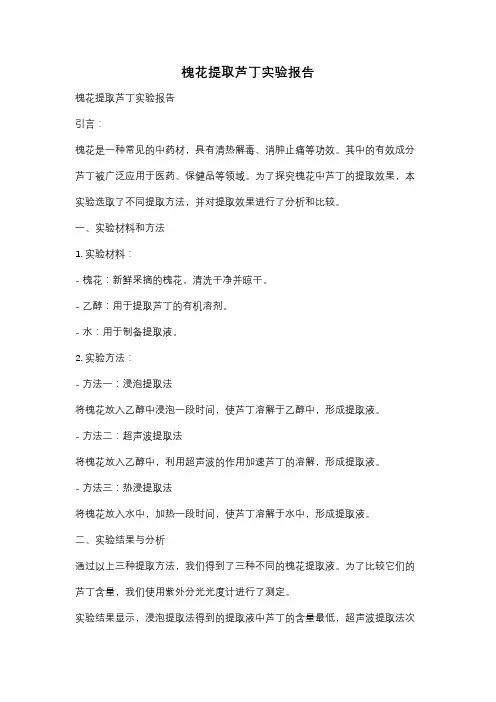 槐花提取芦丁实验报告