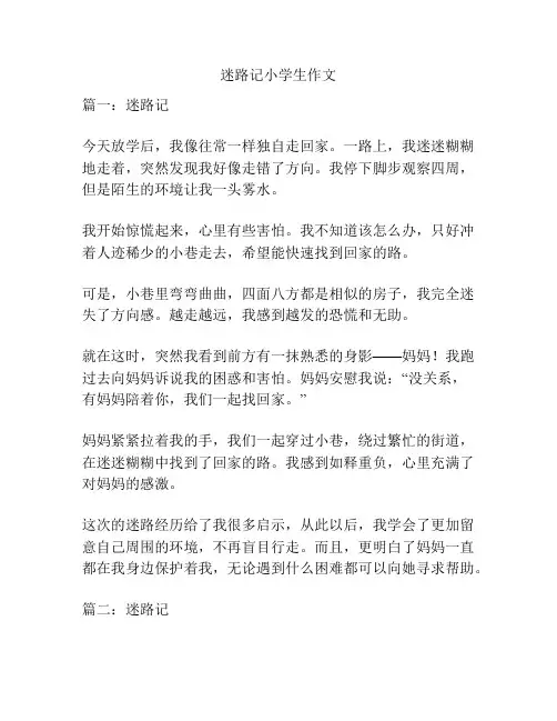 迷路记小学生作文