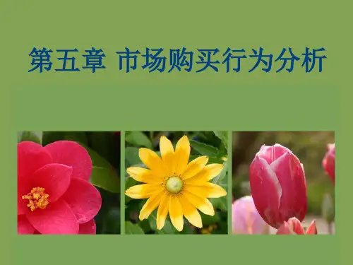 第五章市场购买行为分析