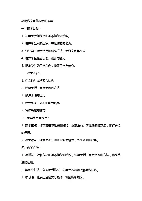 老师作文写作指导的教案