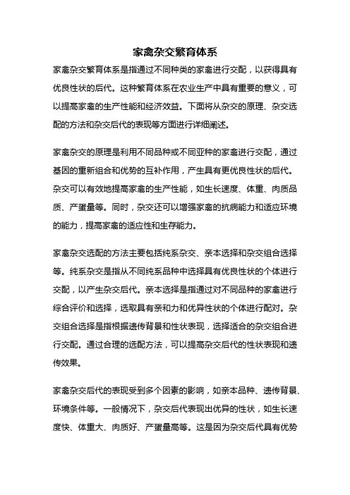 家禽杂交繁育体系