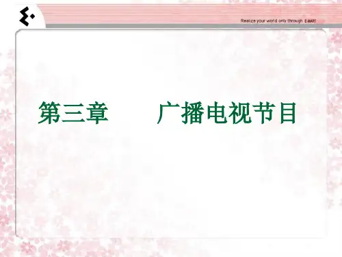 第三章   广播电视节目