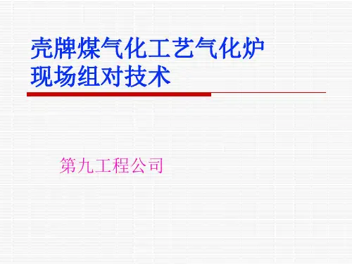 壳牌煤气化工艺气带图片