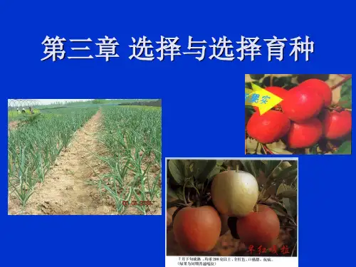 南京农业大学园艺育种学总论----第三章 选择与选择育种