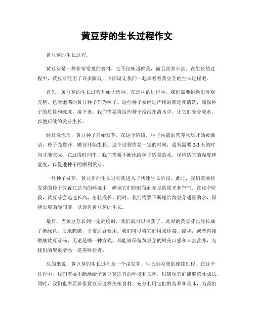 黄豆芽的生长过程作文