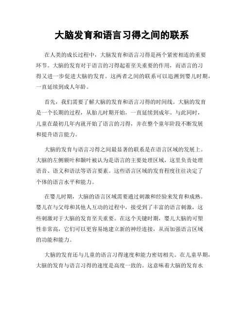 大脑发育和语言习得之间的联系