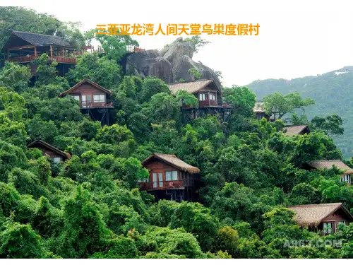 三亚亚龙湾人间天堂鸟巢度假村案例分析