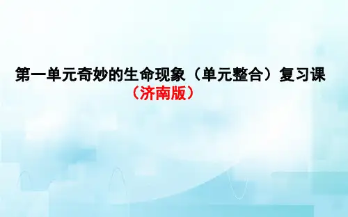 第一单元奇妙的生命现象复习课件-2024--2025学年济南版生物七年级上册.
