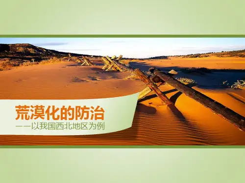 《荒漠化的防治》高中地理教学ppt课件(精选)