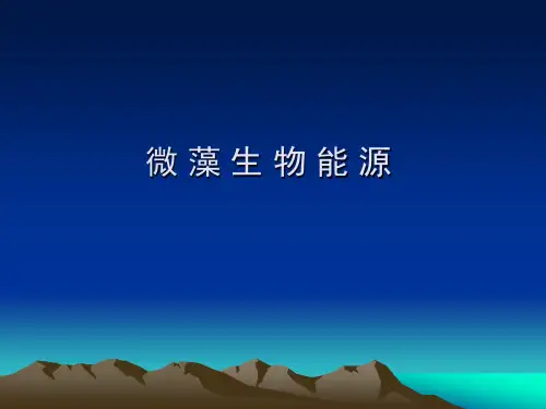 微藻生物能源..