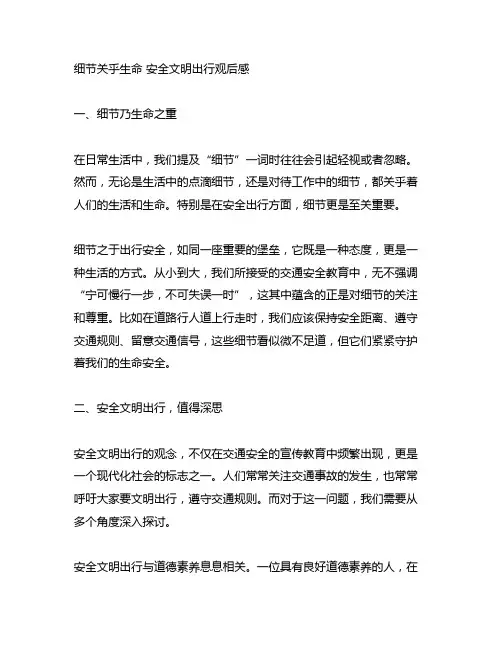 细节关乎生命 安全文明出行观后感
