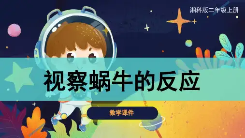 二年级上册科学课件观察蜗牛的反应课件