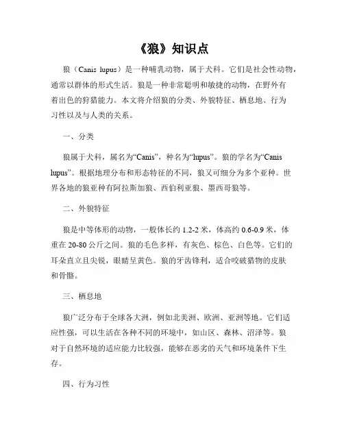 《狼》知识点