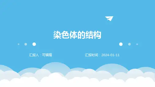染色体的结构PPT课件