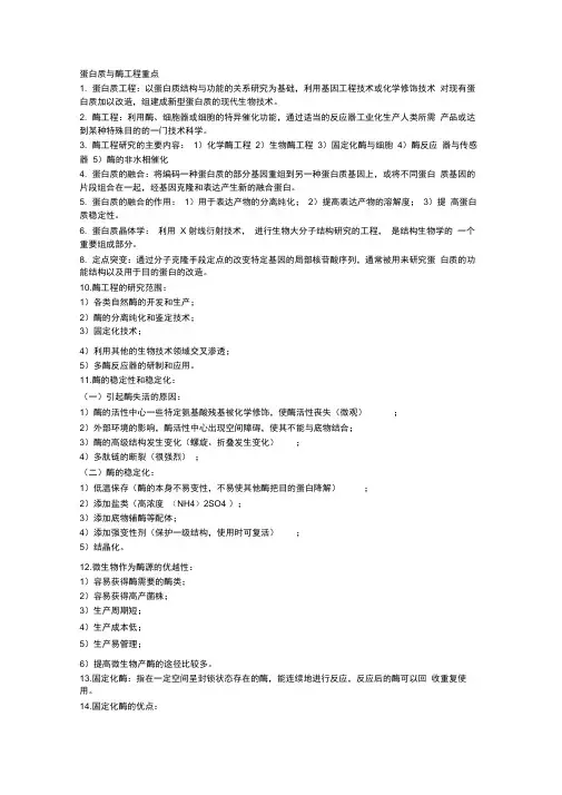 蛋白质与酶工程