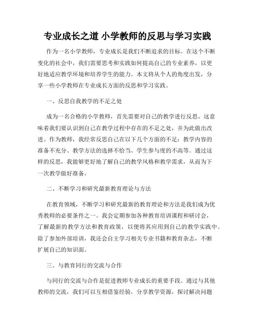 专业成长之道 小学教师的反思与学习实践