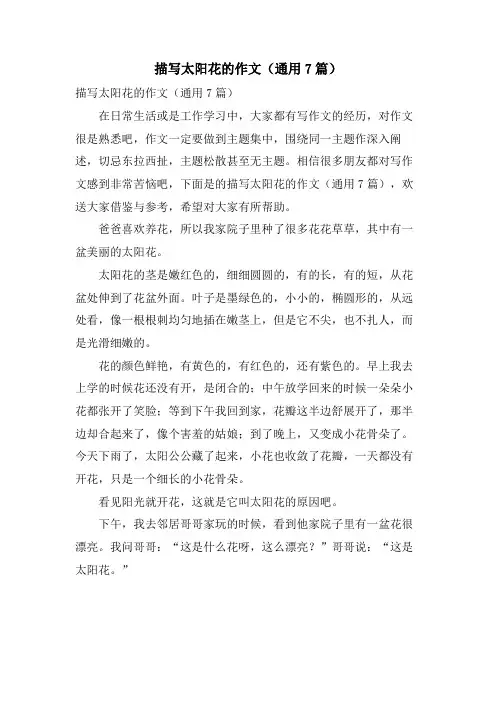 描写太阳花的作文(通用7篇)