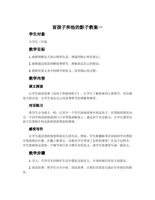 《盲孩子和他的影子》教案 2份
