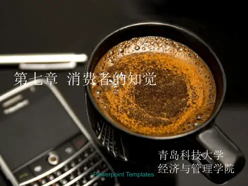 消费者的知觉讲解