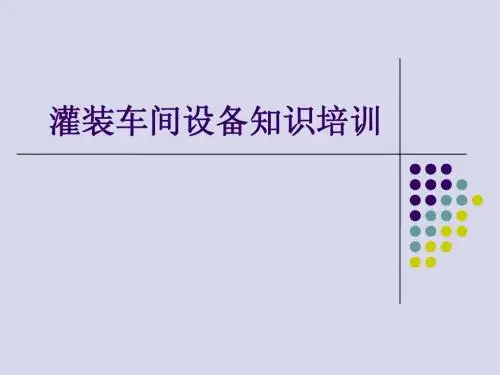 洗瓶机PPT