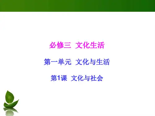 高三政治一轮思维导图复习课件：文化与社会