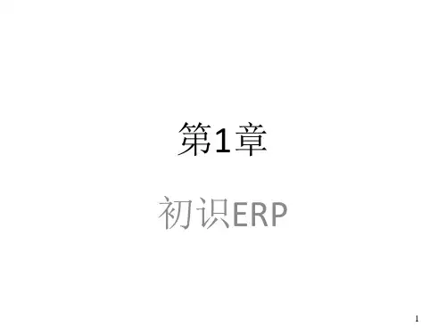 电子教案 ERP原理与应用教程(第3版)