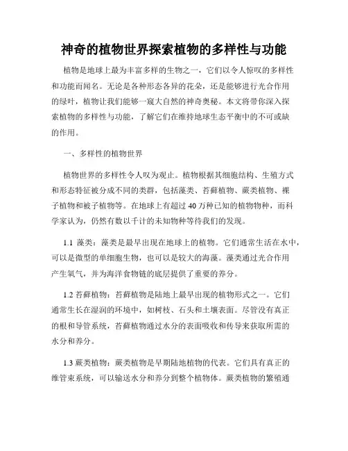 神奇的植物世界探索植物的多样性与功能
