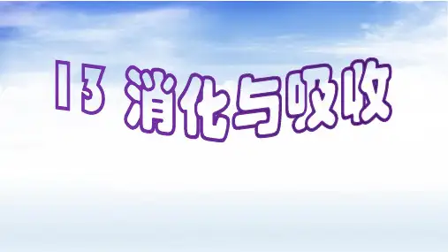 四年级下册科学课件消化与吸收冀人版(共16张PPT)