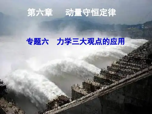 【2015步步高】2015届高考一轮复习(题组扣点+课堂探究+学科素养培养+)：第六章 动量守恒定律  专题六