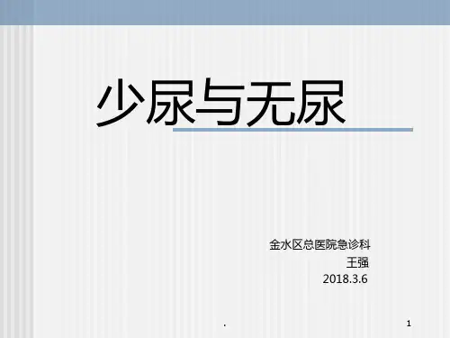 少尿与无尿PPT课件