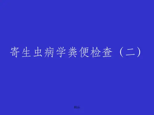 寄生虫病学粪便检查(二)