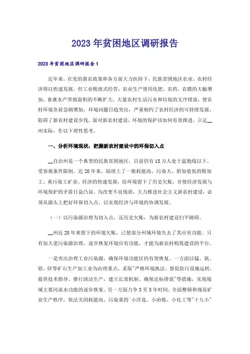 2023年贫困地区调研报告