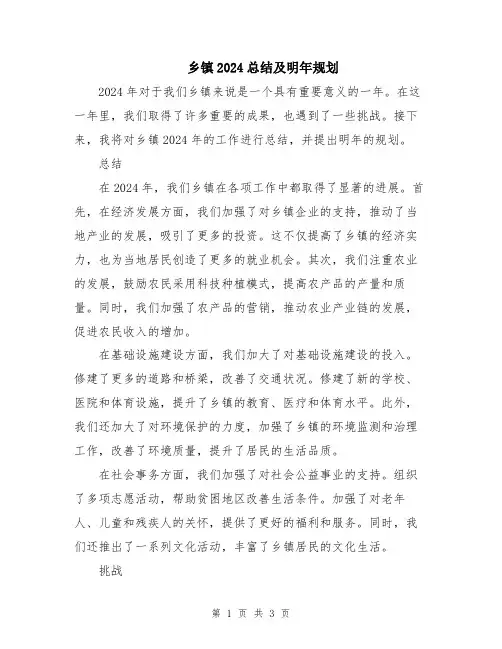 乡镇2024总结及明年规划