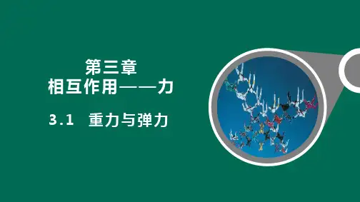 重力与弹力公开课课件教案教学设计