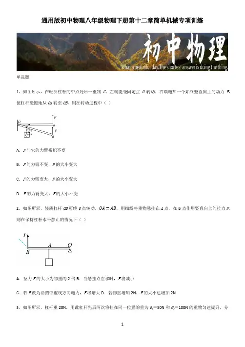 通用版初中物理八年级物理下册第十二章简单机械专项训练