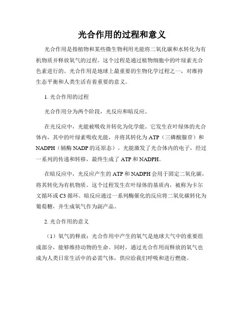 光合作用的过程和意义