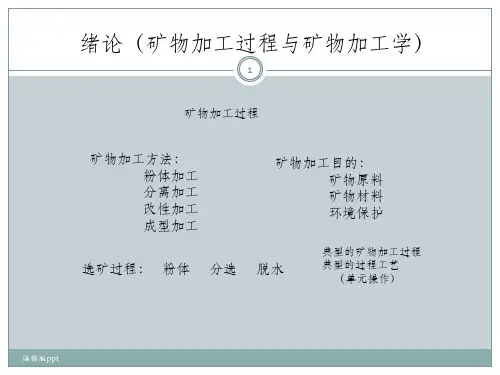 矿物加工过程与矿物加工学---化学选矿