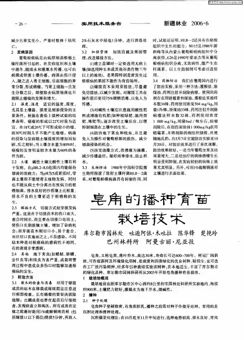 皂角的播种育苗栽培技术