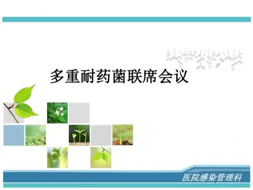 多重耐药菌工作汇报