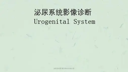 泌尿系统影像学表现详细全面课件